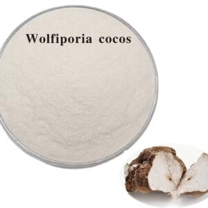 Poria Cocos Polysaccharides Organic Wolfiporia Coc - Active Ingredient