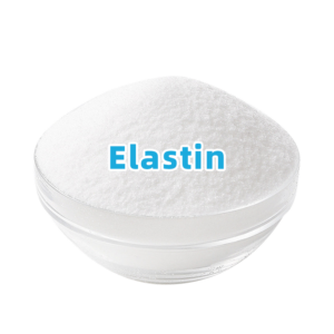 Cosmetic Raw Material Elastin Skincare Ingredient CAS 9007-58-3 Firming Powder f