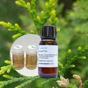 Anti Hair Loss Platycladus Orientalis Leaf Extract Prevent Hair Loss Strengthen
