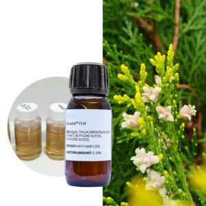 Daily Chemicals Platycladus Orientalis Liquid Prevent Hair Thinning Nourish Scal