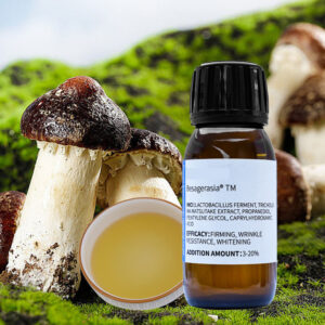 Tricholoma Matsutake Mushroom Ferment Lysate Natural Bioactive Ingredient Raw Ma