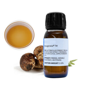Wholesale Fungal Ferment Soothing Ingredient Tricholoma Matsutake Mushroom Extra