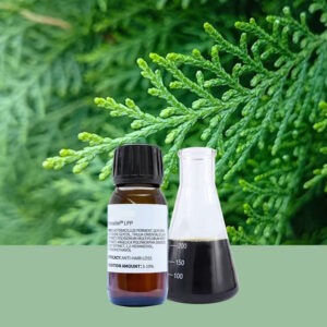 Platycladus Orientalis Fermented Plant Extract Chinese Arborvitae for Anti-hair