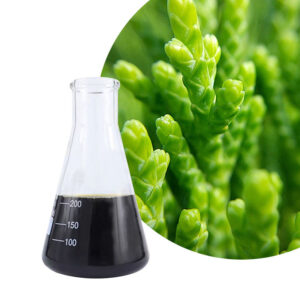 Thuja Orientalis Platycladus Orientalis Leaf Herbal Hair Care Bio-Fermented Ingr